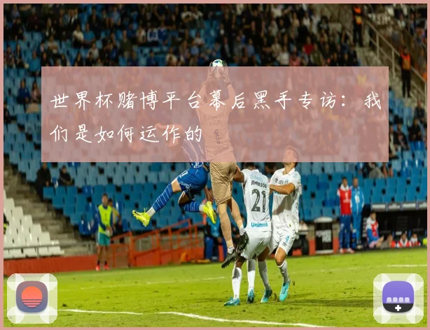 世界杯赌博平台幕后黑手专访：我们是如何运作的