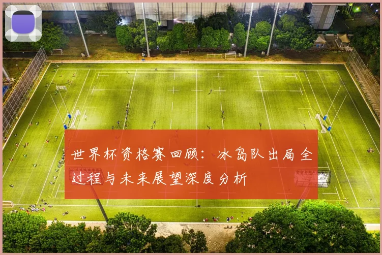 世界杯资格赛回顾:冰岛队出局全过程与未来展望深度分析