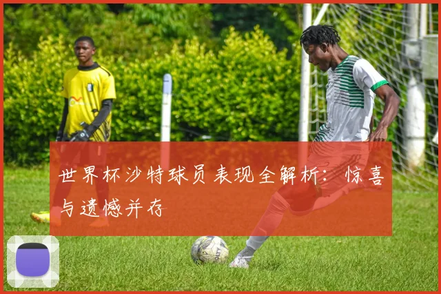 世界杯沙特球员表现全解析：惊喜与遗憾并存