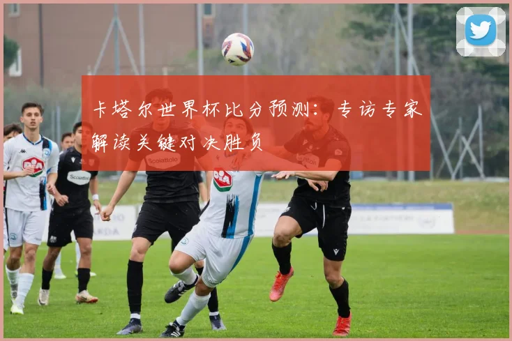 卡塔尔世界杯比分预测：专访专家解读关键对决胜负
