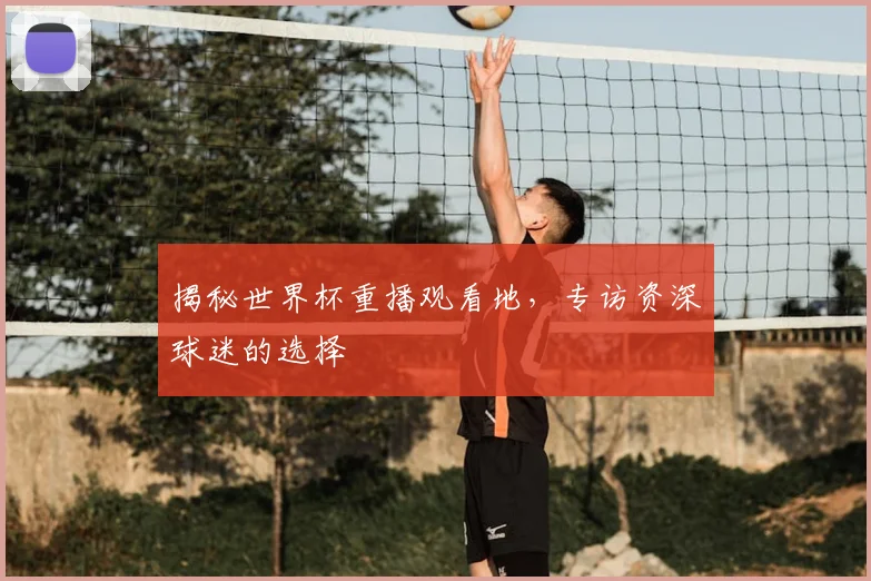 揭秘世界杯重播观看地，专访资深球迷的选择