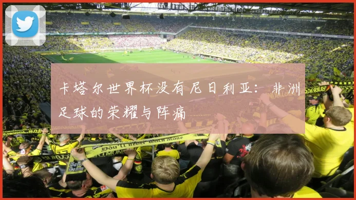 卡塔尔世界杯没有尼日利亚：非洲足球的荣耀与阵痛