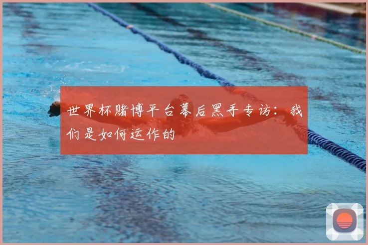 世界杯赌博平台幕后黑手专访：我们是如何运作的