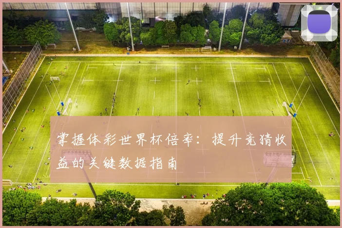 掌握体彩世界杯倍率：提升竞猜收益的关键数据指南