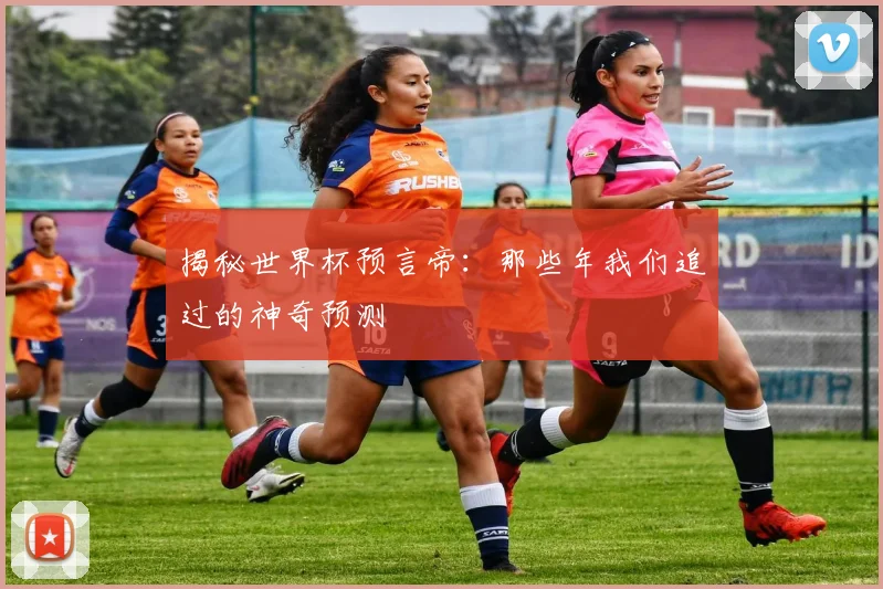 揭秘世界杯预言帝：那些年我们追过的神奇预测